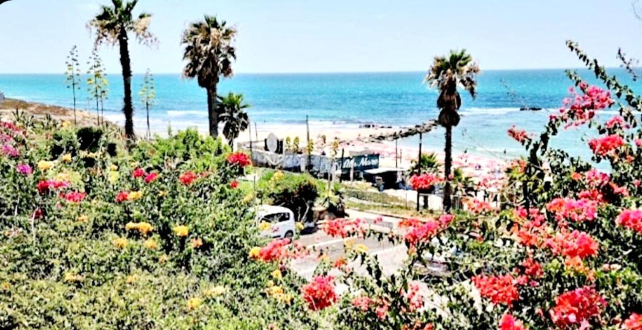7 Hotel Apartment Short Time Tlv Bat Yam Buitenkant foto