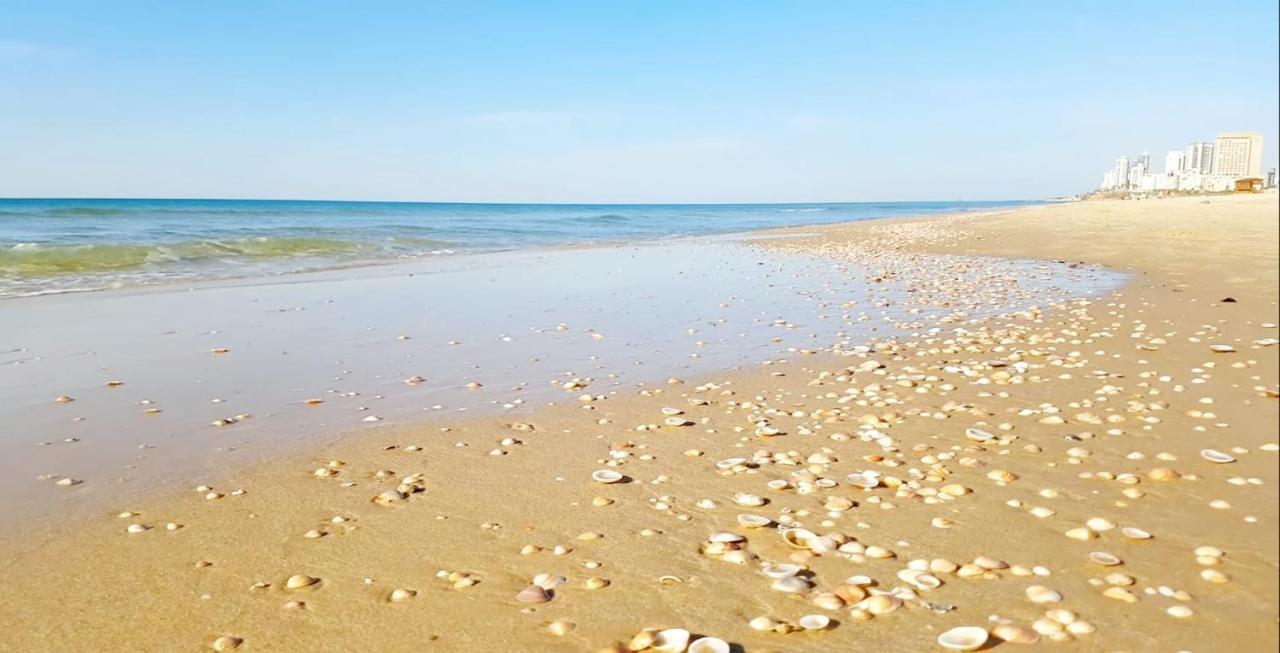 7 Hotel Apartment Short Time Tlv Bat Yam Buitenkant foto